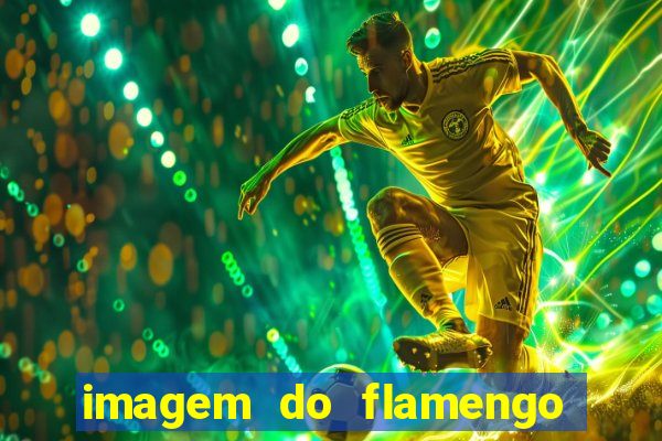 imagem do flamengo para perfil